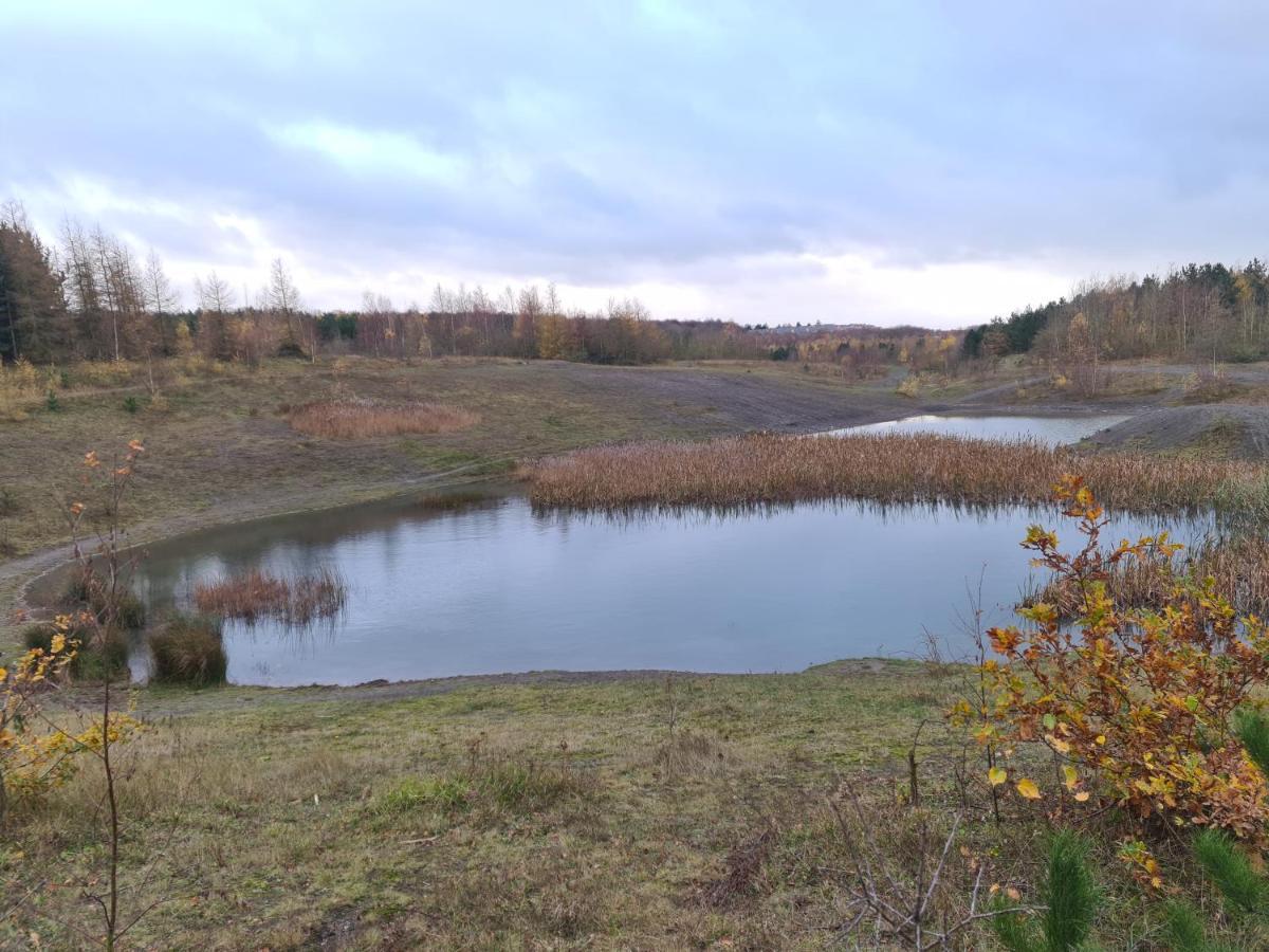 Rehoboth In Yew Gardens Apartman Doncaster Kültér fotó